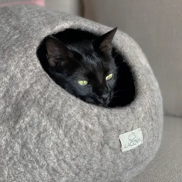 Cocoon chat