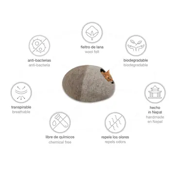 Cocoon chat